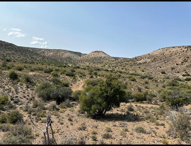 10,000M² VACANT LAND FOR SALE IN LADISMITH RURAL